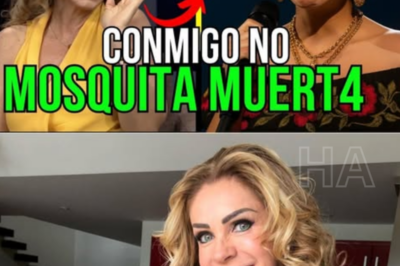 El Juicio Final de Ángela Aguilar: Cómo Rocío Sánchez Azuara Desmanteló una Dinastía en Vivo y Expuso la “Gran Mentira”