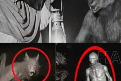 Le Dio de Comer al Nahual Durante 40 Años, Luego Descubrió Por Qué Nos Teme…