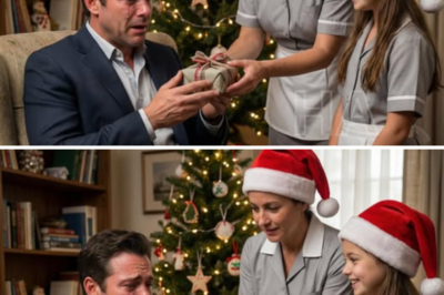 Este multimillonario pasaba la Navidad solo todos los años — hasta que la empleada doméstica le susurró 6 palabras que lo hicieron romper en llanto.