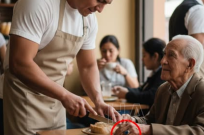 QUÉ HARÍAS SI EL “VIEJITO GRUÑÓN” AL QUE LE SIRVES CAFÉ TODOS LOS DÍAS RESULTA SER UN MULTIMILLONARIO QUE TE DEJÓ TODO EN SU TESTAMENTO?