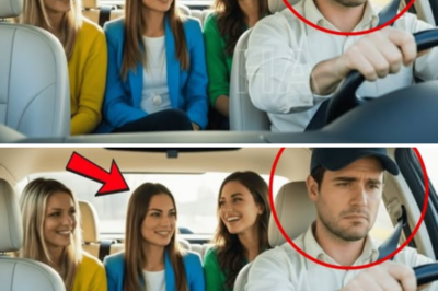 Disfrazado De Chofer, Un Millonario Oye A Su Prometida Decir La Verdad Sobre Él