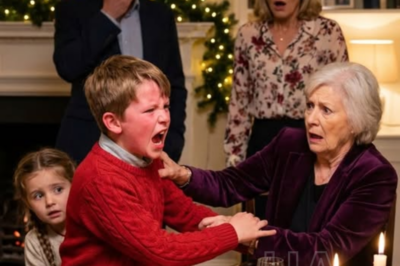 “En plena cena de Navidad, mi suegra abofeteó a mi hija de cinco años… y entonces mi hijo de ocho preguntó si debía mostrar el secreto que ella le ordenó ocultar”
