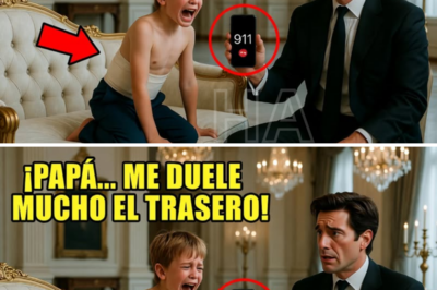 EL NIÑO NO PODÍA SENTARSE TRAS VOLVER DE CASA DE SU MADRE — EL MILLONARIO LLAMÓ AL 911