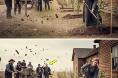 Rieron cuando la viuda plantó árboles alrededor de la casa… hasta que el viento y la nieve pararon