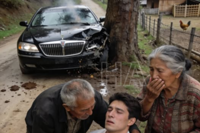 Dos ancianos que vivían aislados en la montaña salvaron a un joven tras un accidente terrible Nunca imaginaron que ese muchacho era alguien que todo el país buscaba desesperadamente Cuando la verdad salió a la luz, la sierra entera quedó en silencio