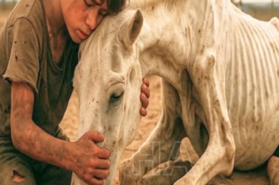 SEMENTAL LISIADO ERA MALTRATADO TODOS LOS DÍAS, HASTA QUE UN NIÑO HUMILDE APARECIÓ Y…