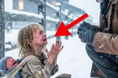 Ella le pidió trabajo a un vaquero… lo que él vio cambió su vida para siempre