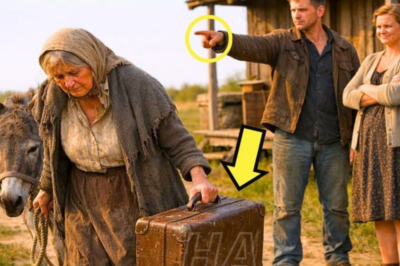 ECHÓ A SU MAMÁ DE LA CASA PARA COMPLACER A SU ESPOSA… PERO LA MALETA ESCONDÍA UN SECRETO