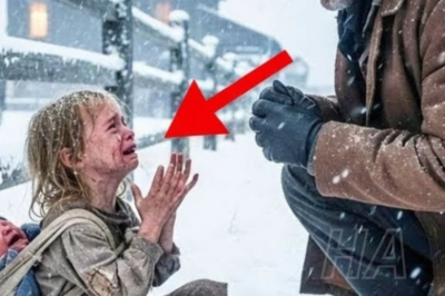 Ella le pidió trabajo a un vaquero… lo que él vio cambió su vida para siempre