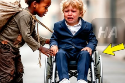 ‘Dame tu silla de ruedas y caminarás’—El niño en silla de ruedas comenzó a llorar… Una hora después