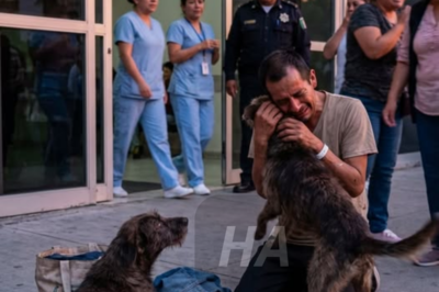 “Un perrito esperó todo el día frente al hospital sin moverse… hasta que las puertas se abrieron y todos entendieron por qué nunca se fue.”