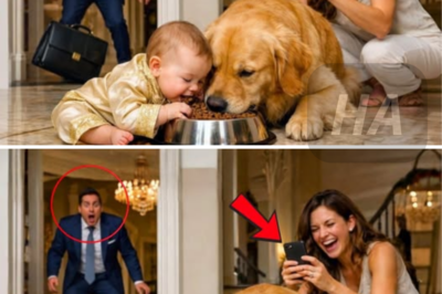 EL BEBÉ MILLONARIO COMÍA EN EL SUELO CON EL PERRO — EL PADRE LLEGÓ DE SORPRESA Y QUEDÓ HELADO