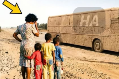 La viuda recibió solo un autobús lleno de barro como pago por 19 años de trabajo en la mansión de su