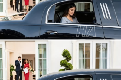 : “Sin mí no eres nada, una diseñadora mediocre que nadie contratará”: El error fatal de un esposo que no vio al multimillonario esperando en la limusina negra.